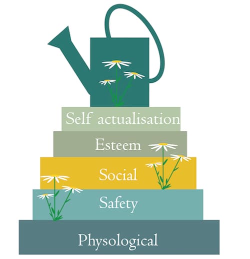 Maslow’s Hierarchy of Needs<