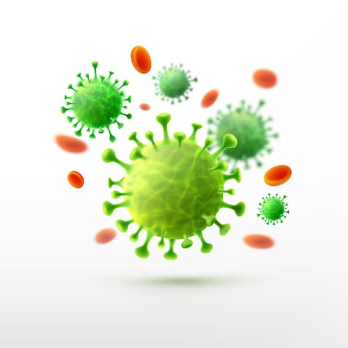 The Chain of Infection<