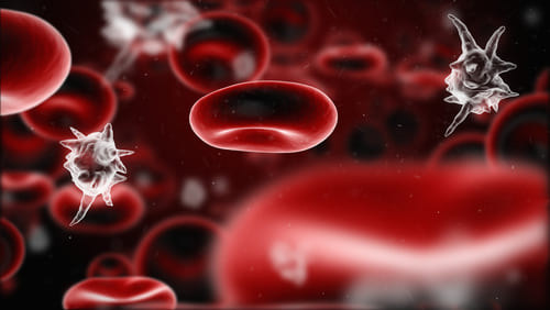 Bloodborne Pathogens<